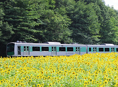 Nasukarasuyama City, Tochigi Prefecture