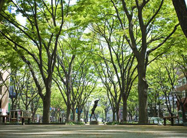 宮城県仙台市