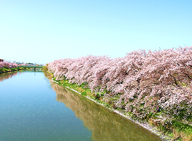 Hasuda City, Saitama Prefecture