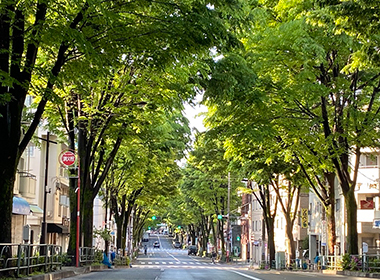 Suginami Ward,Tokyo