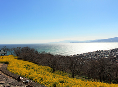 神奈川県中郡二宮町